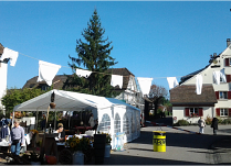 Herbstexkursion der Munzachgesellschaft Liestal 2013, Kaiseraugst,  Dorleben heute